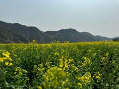 -新安江山水画廊风景区