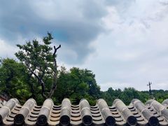 -泰山风景名胜区-普照寺