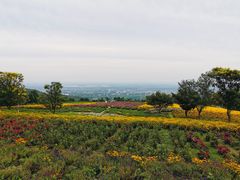 -紫云台香草园