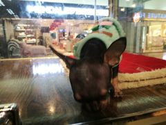 -乐宠宠物店(世纪金源店)