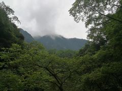 -西岭雪山大飞水景区