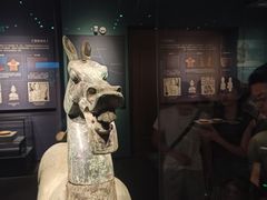 -广西壮族自治区博物馆