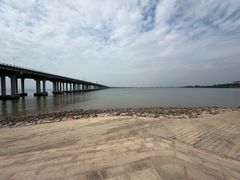 -宝安西湾红树林湿地公园