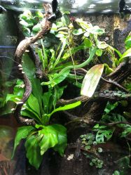 -酷嗒动物文化乐园(cutezoo西溪乐天城店)