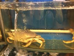 -渔中舟海鲜大排档(普陀沈家门店)