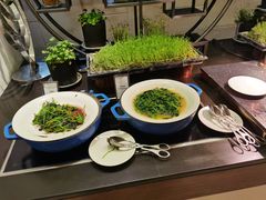 -舟山希尔顿酒店·開自助餐厅