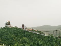 -铜川市金锁关石林