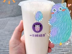 -一只酸奶牛(奎星楼店)