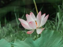 -陶然亭公园