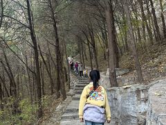 -佛慧山