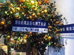 -古文化街旅游区