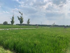 -嘉北郊野公园