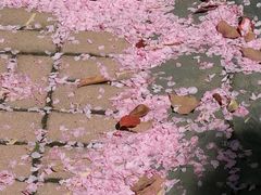 -沃阁巴厘原墅餐厅