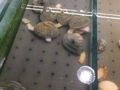 -麦德龙(闵行店)