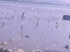 -深圳湾公园(南山区)