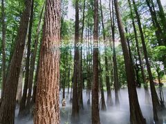 -东湖落雁景区