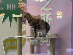 -百荣世贸商城