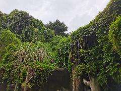 -青青世界