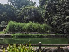 -成都市活水公园