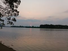 -东湖落雁景区