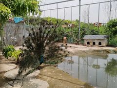 -河北村民俗体验园