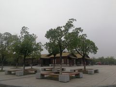 -南湖湿地公园