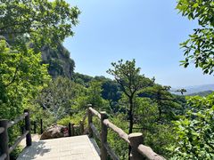 -王顺山国家森林公园