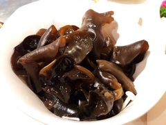 黑木耳-海底捞火锅(劲松店)