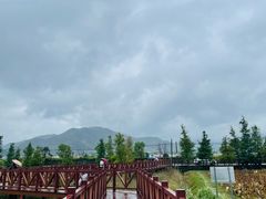 -四明湖