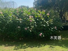 -滨湖塘西河公园