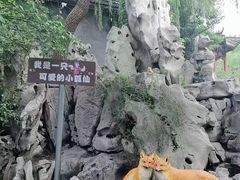 -淄博聊斋城景区