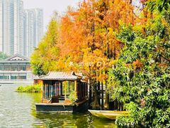 -荔湾湖公园