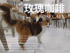 -玫瑰咖啡(中山六路店)