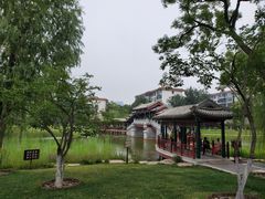 -西海子公园