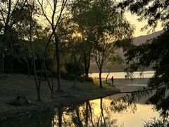-长广溪湿地公园