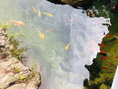 -九龙池景区