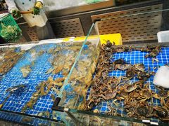 水产区-半岛听涛蒸汽海鲜自助(K11店)