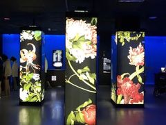 -台北故宫博物院