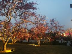 -大雁塔北广场音乐喷泉