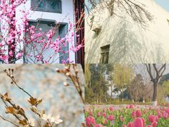 -东南大学(九龙湖校区)