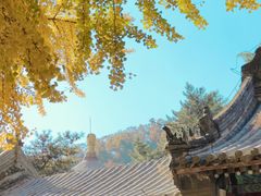 -潭柘寺景区
