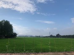 -崖口云吞(中堡店)