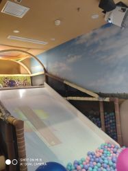 点击看大图 -卡通尼·Safari非洲探索乐园·生日会(金桥国际商业广场店)