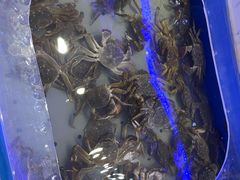 -澜悦港海鲜体验主题餐厅