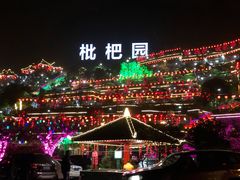 -枇杷园食为鲜火锅(南山店)