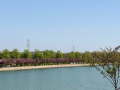 -羊山湖公园
