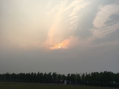 -春花秋色城市公园