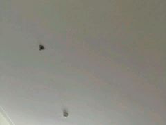 -象山黄金海岸雷迪森酒店