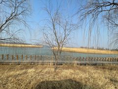 -野鸭湖国家湿地公园