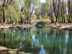 -长白岛森林公园